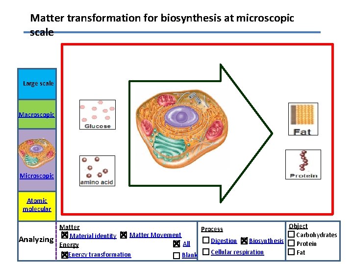 Matter transformation for biosynthesis at microscopic scale Large scale Macroscopic Microscopic Atomic molecular Analyzing