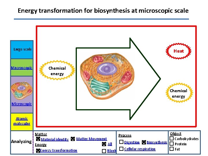 Energy transformation for biosynthesis at microscopic scale Large scale Macroscopic Heat Chemical energy Microscopic