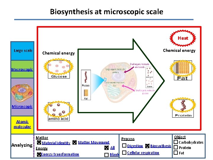 Biosynthesis at microscopic scale Heat Large scale Chemical energy Macroscopic Microscopic Atomic molecular Analyzing
