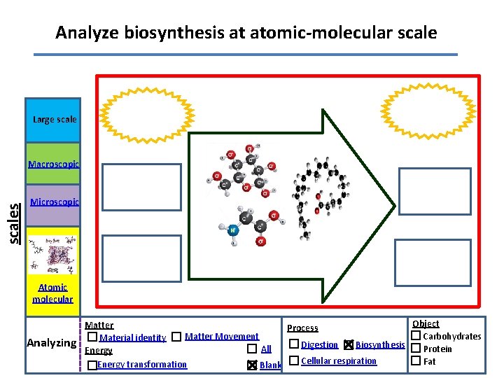Analyze biosynthesis at atomic-molecular scale Large scales Macroscopic Microscopic Atomic molecular Analyzing Object Matter