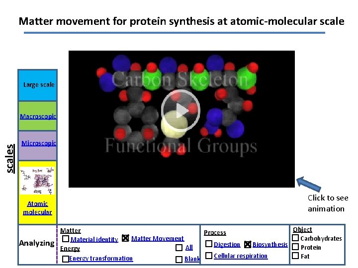 Matter movement for protein synthesis at atomic-molecular scale Large scales Macroscopic Microscopic Atomic molecular