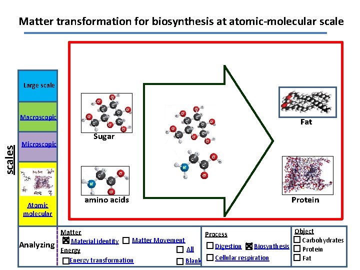 Matter transformation for biosynthesis at atomic-molecular scale Large scales Macroscopic Microscopic Atomic molecular Analyzing