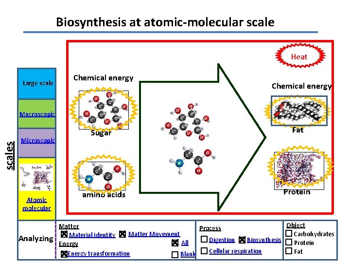 Biosynthesis at atomic-molecular scale Heat Large scale Chemical energy scales Macroscopic Microscopic Atomic molecular