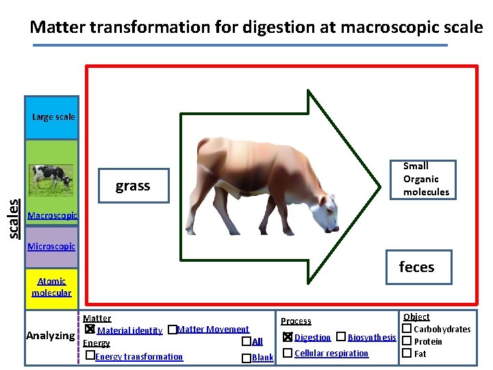 Matter transformation for digestion at macroscopic scale Large scales grass Small Organic molecules Macroscopic
