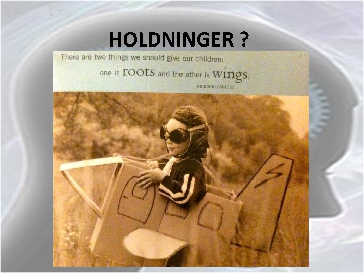 HOLDNINGER ? 