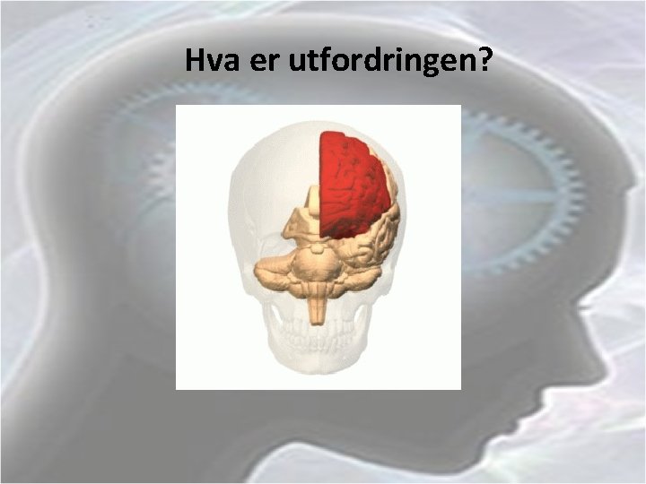 Hva er utfordringen? 
