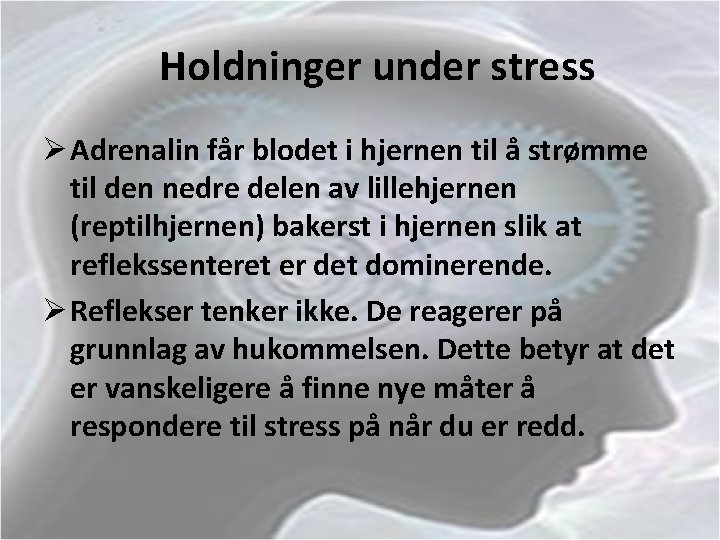 Holdninger under stress Ø Adrenalin får blodet i hjernen til å strømme til den