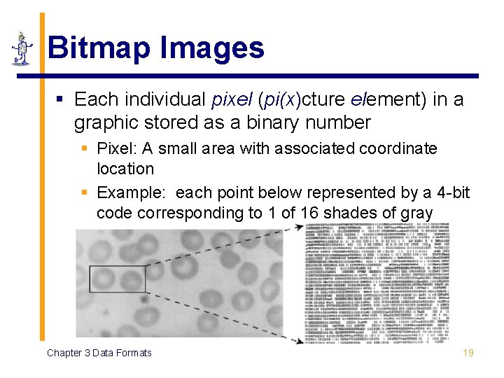 Bitmap Images § Each individual pixel (pi(x)cture element) in a graphic stored as a Bitmap Images § Each individual pixel (pi(x)cture element) in a graphic stored as a