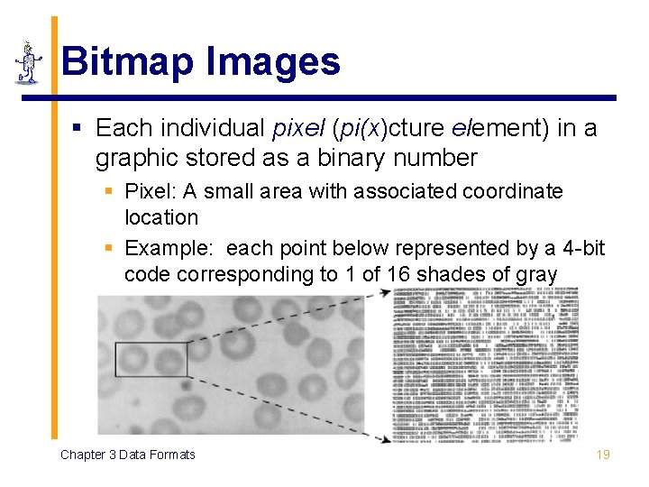 Bitmap Images § Each individual pixel (pi(x)cture element) in a graphic stored as a