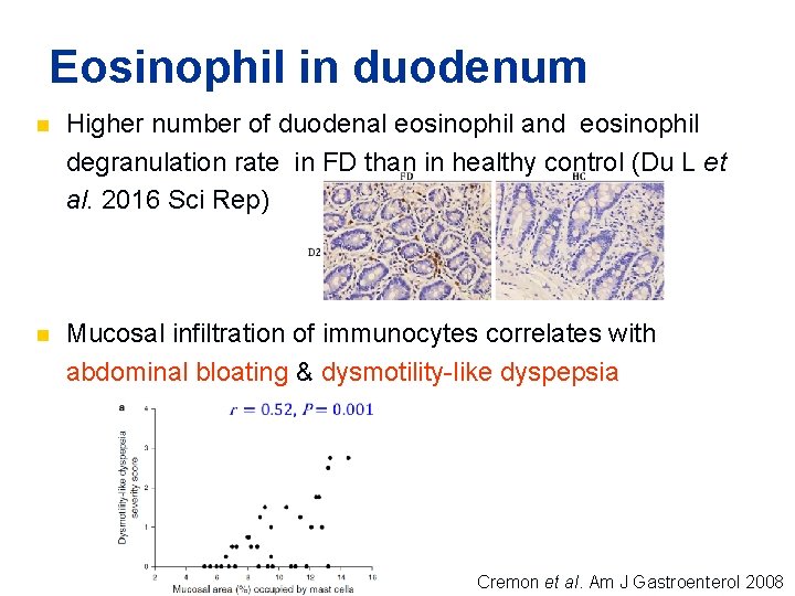 Eosinophil in duodenum n Higher number of duodenal eosinophil and eosinophil degranulation rate in