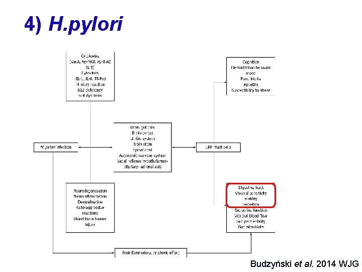 4) H. pylori Budzyński et al. 2014 WJG 