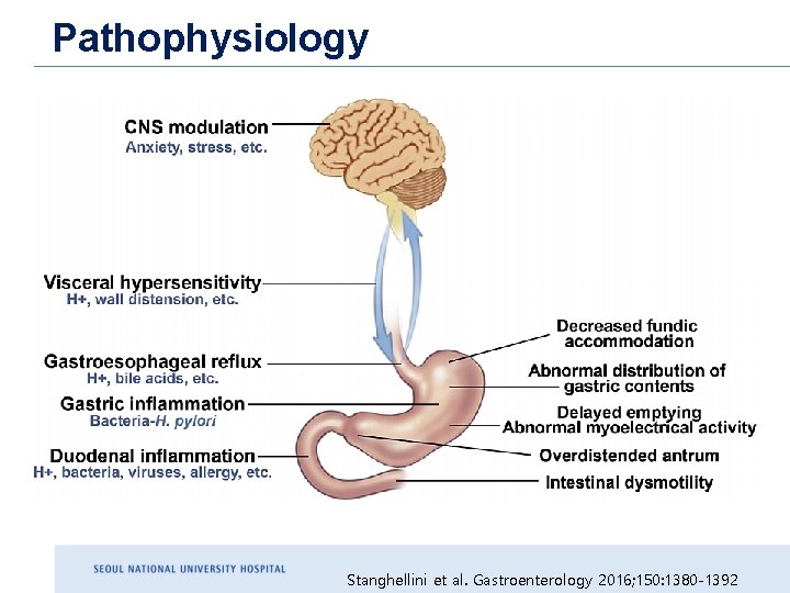 Pathophysiology Stanghellini et al. Gastroenterology 2016; 150: 1380 -1392 