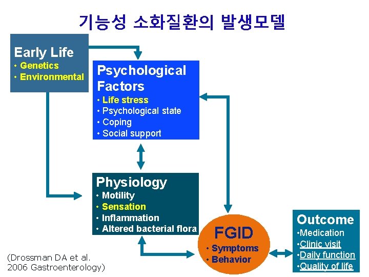 기능성 소화질환의 발생모델 Early Life • Genetics • Environmental Psychological Factors • Life stress