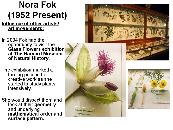 Nora Fok (1952 Present) Influence of other artists/ art movements: In 2004 Fok had