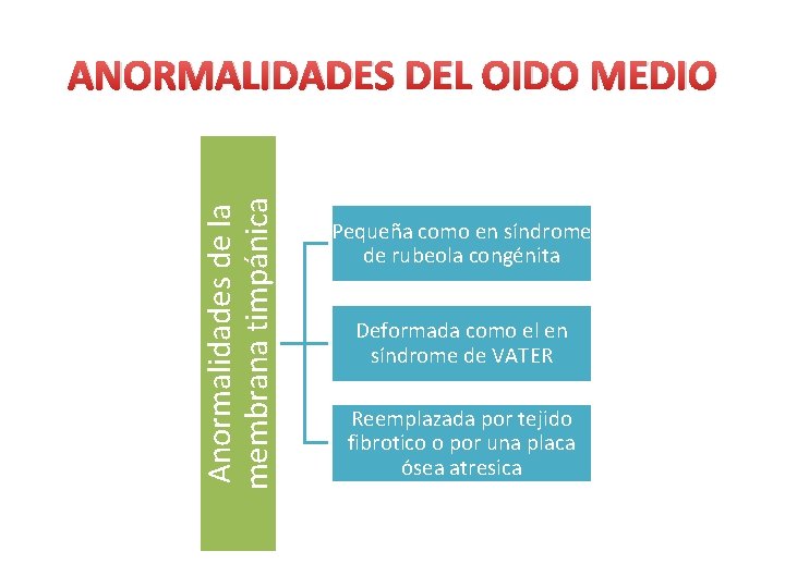 Anormalidades de la membrana timpánica ANORMALIDADES DEL OIDO MEDIO Pequeña como en síndrome de