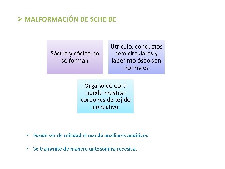 Ø MALFORMACIÓN DE SCHEIBE Sáculo y cóclea no se forman Utrículo, conductos semicirculares y