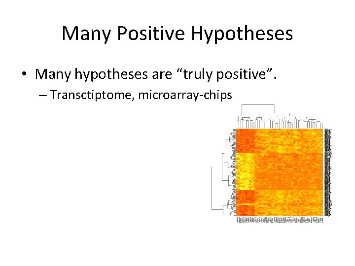 Many Positive Hypotheses • Many hypotheses are “truly positive”. – Transctiptome, microarray-chips – False