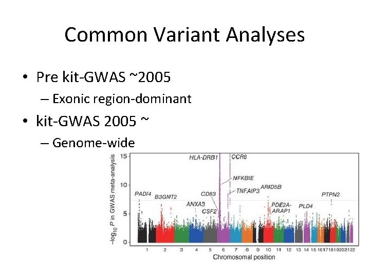 Common Variant Analyses • Pre kit-GWAS ~2005 – Exonic region-dominant • kit-GWAS 2005 ~