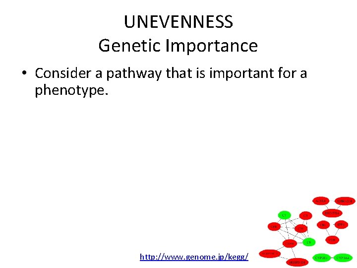 UNEVENNESS Genetic Importance • Consider a pathway that is important for a phenotype. –