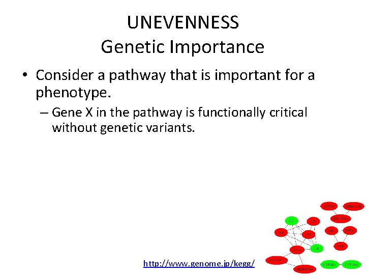 UNEVENNESS Genetic Importance • Consider a pathway that is important for a phenotype. –