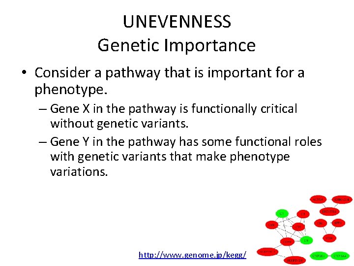 UNEVENNESS Genetic Importance • Consider a pathway that is important for a phenotype. –
