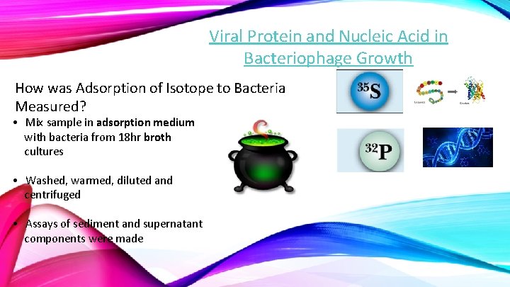 Viral Protein and Nucleic Acid in Bacteriophage Growth How was Adsorption of Isotope to