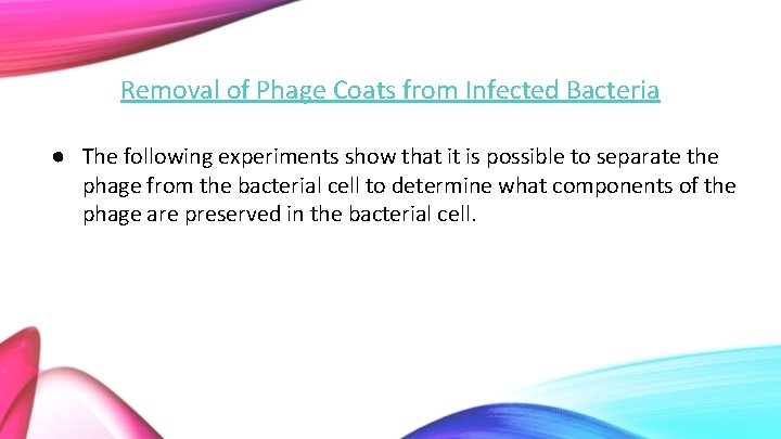 Removal of Phage Coats from Infected Bacteria ● The following experiments show that it