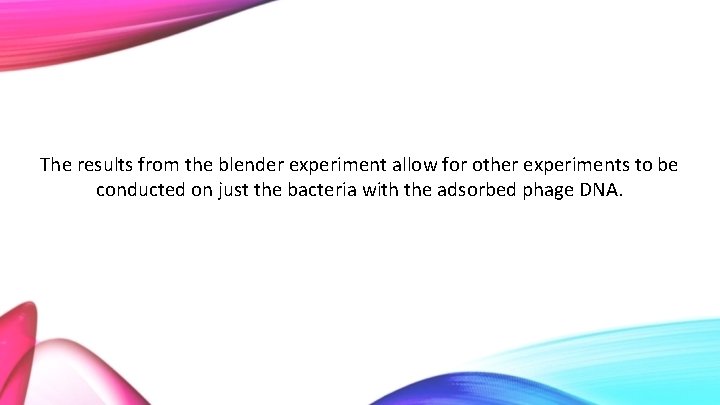 The results from the blender experiment allow for other experiments to be conducted on