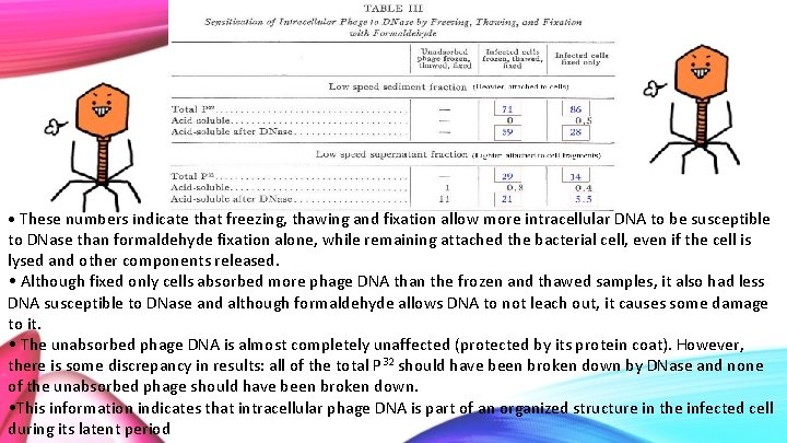  • These numbers indicate that freezing, thawing and fixation allow more intracellular DNA