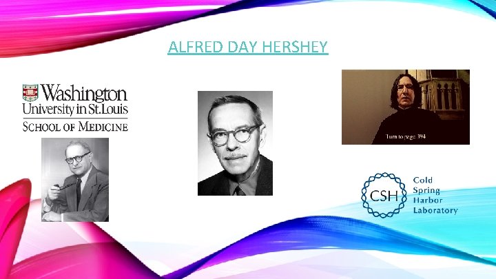 ALFRED DAY HERSHEY 