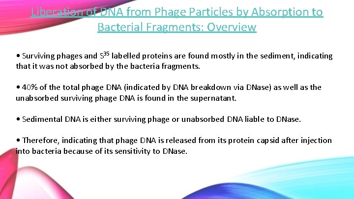 Liberation of DNA from Phage Particles by Absorption to Bacterial Fragments: Overview • Surviving