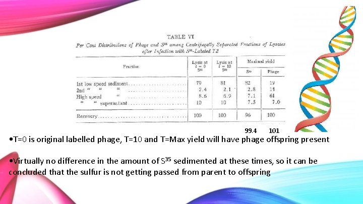 99. 4 101 • T=0 is original labelled phage, T=10 and T=Max yield will