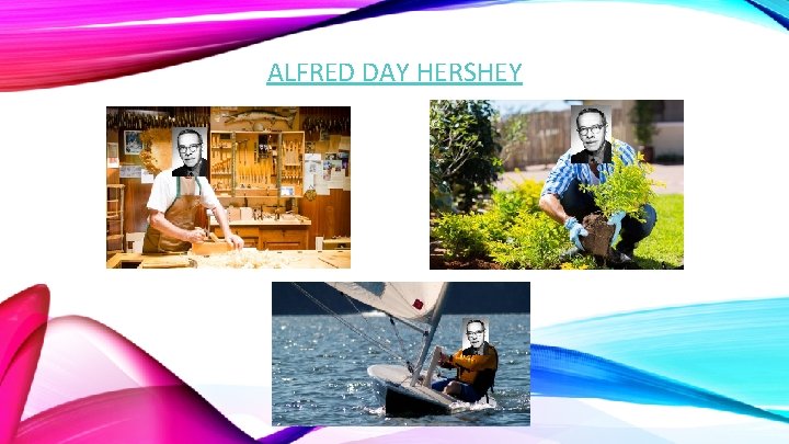 ALFRED DAY HERSHEY 