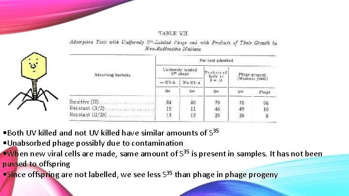  • Both UV killed and not UV killed have similar amounts of S
