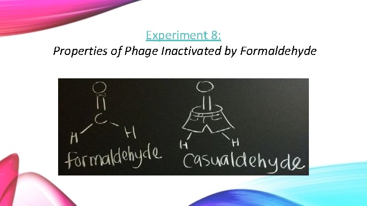 Experiment 8: Properties of Phage Inactivated by Formaldehyde 