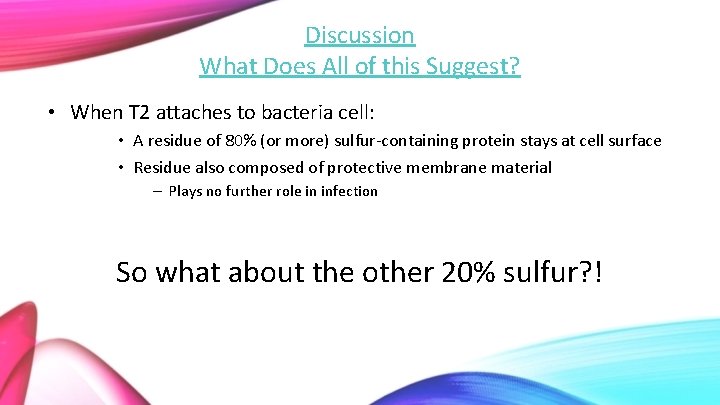 Discussion What Does All of this Suggest? • When T 2 attaches to bacteria