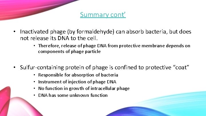Summary cont’ • Inactivated phage (by formaldehyde) can absorb bacteria, but does not release