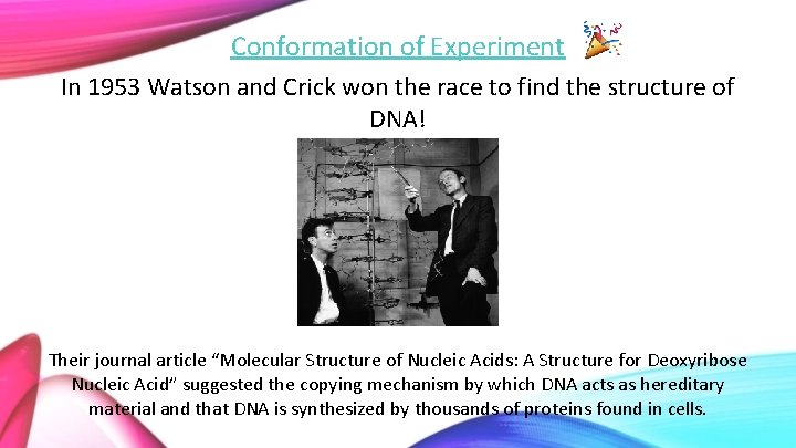 Conformation of Experiment In 1953 Watson and Crick won the race to find the