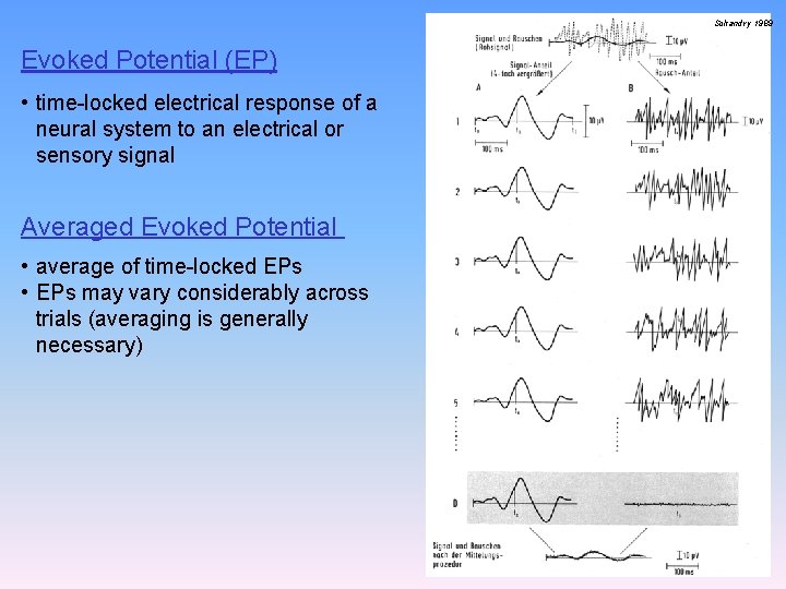 Schandry 1989 Evoked Potential (EP) • time-locked electrical response of a neural system to