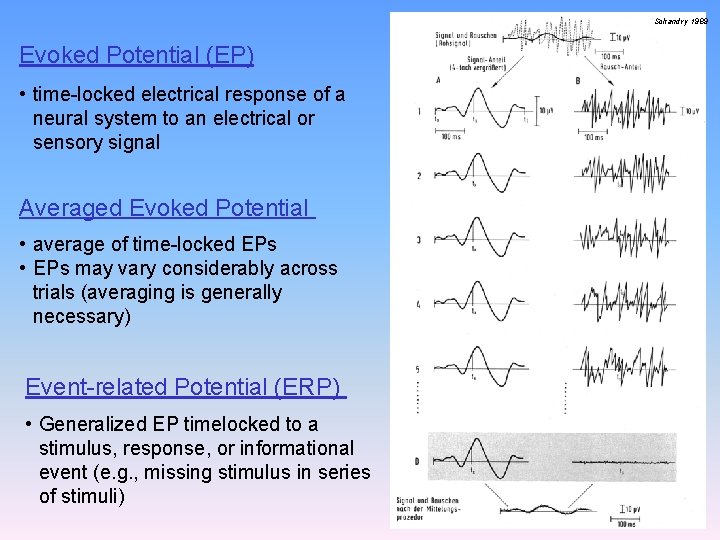 Schandry 1989 Evoked Potential (EP) • time-locked electrical response of a neural system to