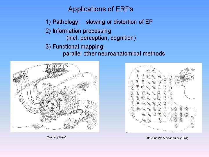 Applications of ERPs 1) Pathology: slowing or distortion of EP 2) Information processing (incl.