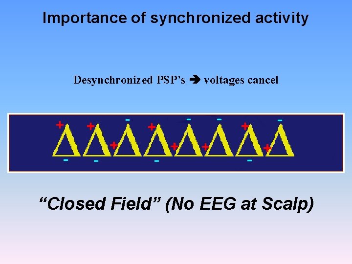 Importance of synchronized activity Desynchronized PSP’s voltages cancel “Closed Field” (No EEG at Scalp)