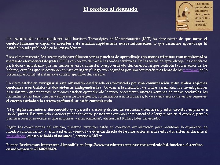 El cerebro al desnudo Un equipo de investigadores del Instituto Tecnológico de Massachussetts (MIT)