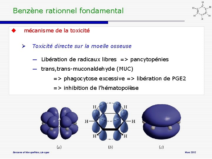 Benzène rationnel fondamental mécanisme de la toxicité Toxicité directe sur la moelle osseuse ―