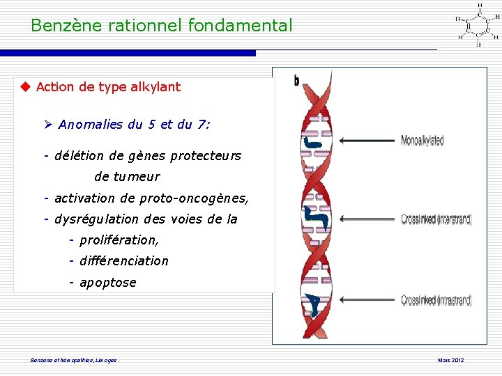 Benzène rationnel fondamental Action de type alkylant Anomalies du 5 et du 7: -