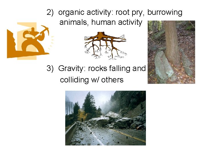 2) organic activity: root pry, burrowing animals, human activity 3) Gravity: rocks falling and