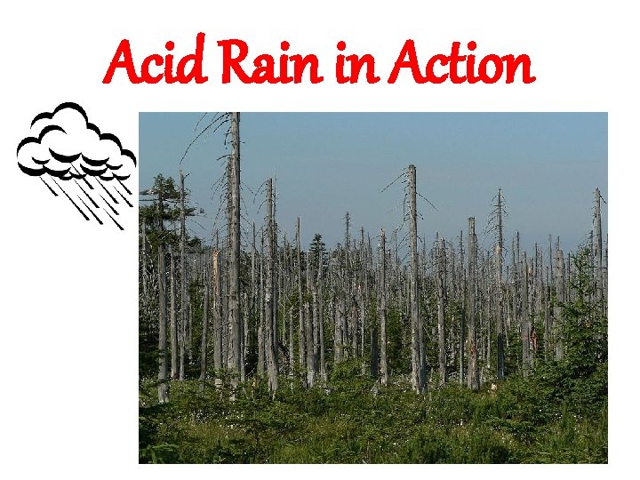 Acid Rain in Action 
