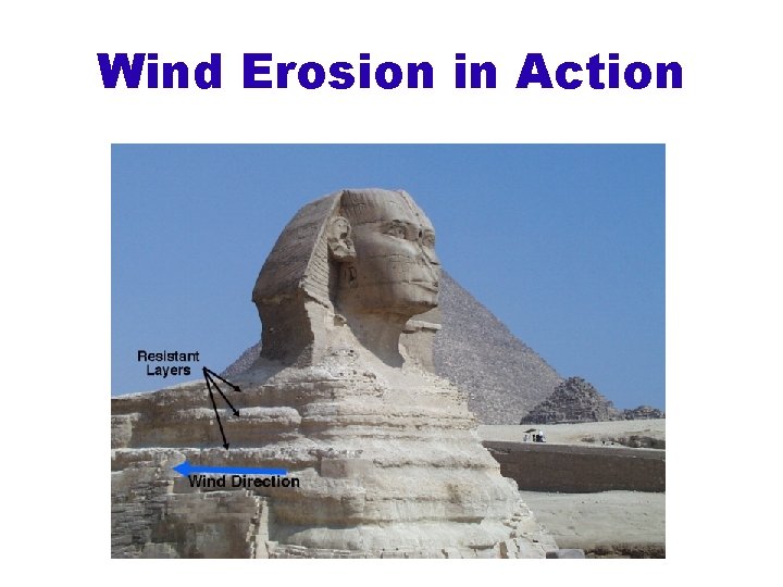 Wind Erosion in Action 