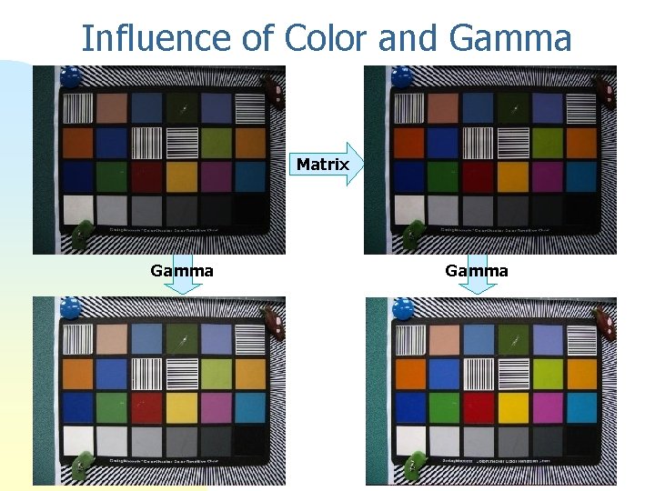 Influence of Color and Gamma Matrix Gamma 