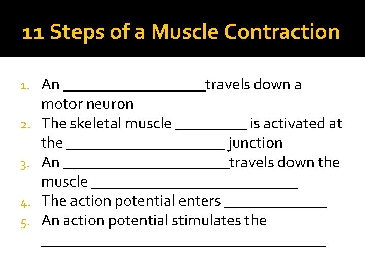 11 Steps of a Muscle Contraction 1. 2. 3. 4. 5. An _________travels down